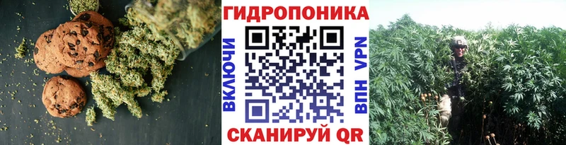 Canna-Cookies конопля  Троицк 